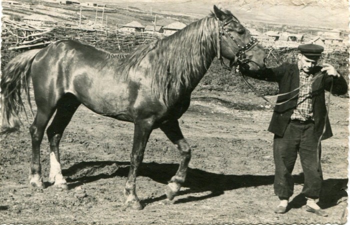 9 Казаков Ефим Емельянович, конюх, конь «Миленок»